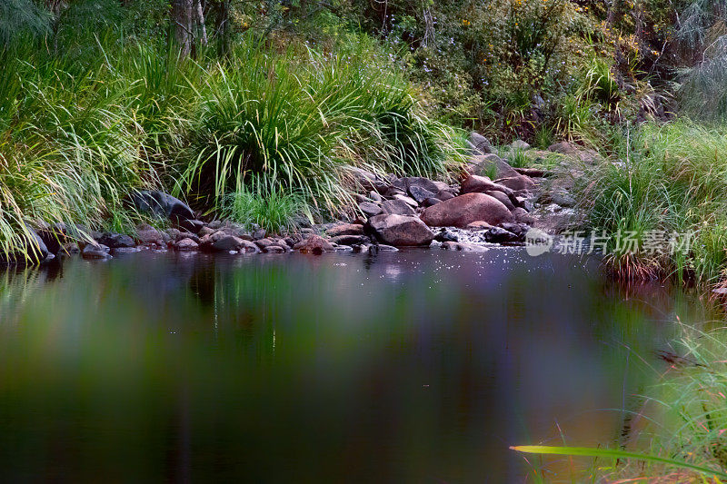 Nerang River昆士兰